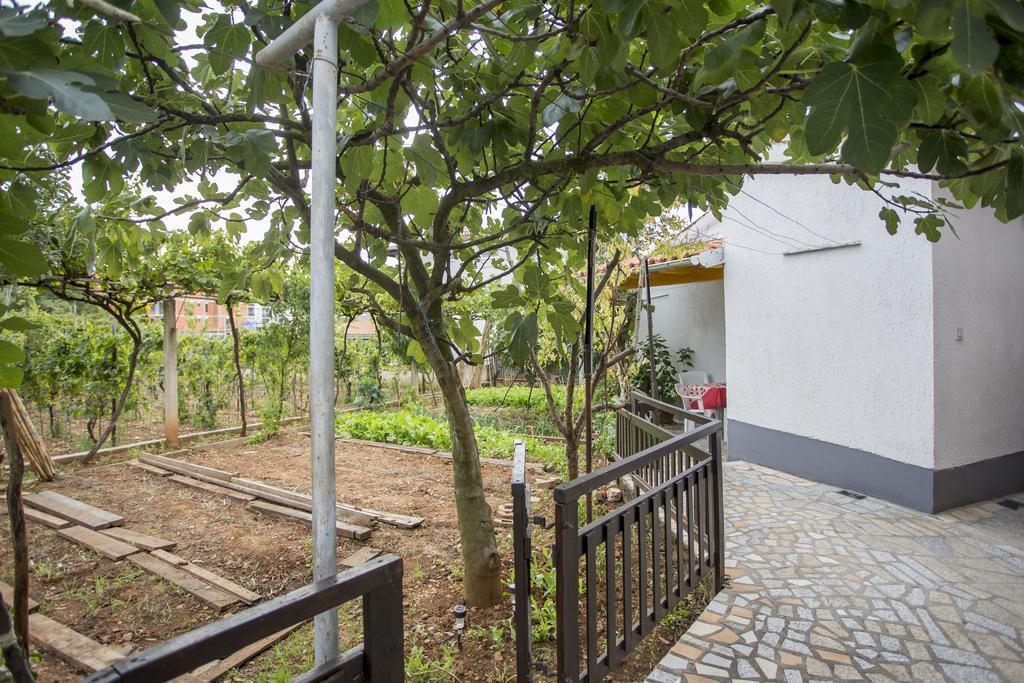 Apartments Pula 1618 エクステリア 写真